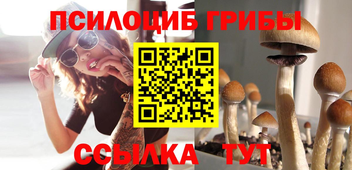 Псилоцибиновые грибы ЛСД Избербаш